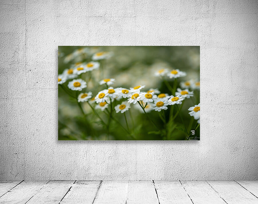 Whispers of Nature Wall Preview