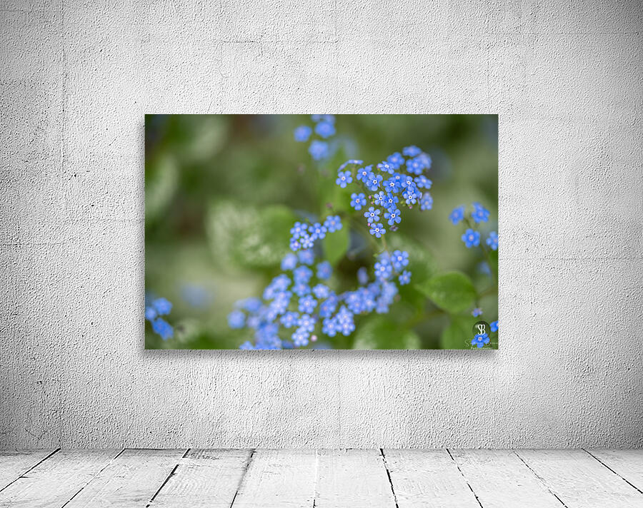 Blue Rosary Wall Preview