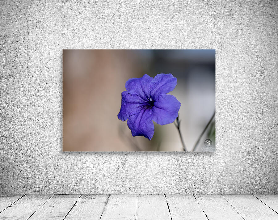 Call Me Violet Wall Preview