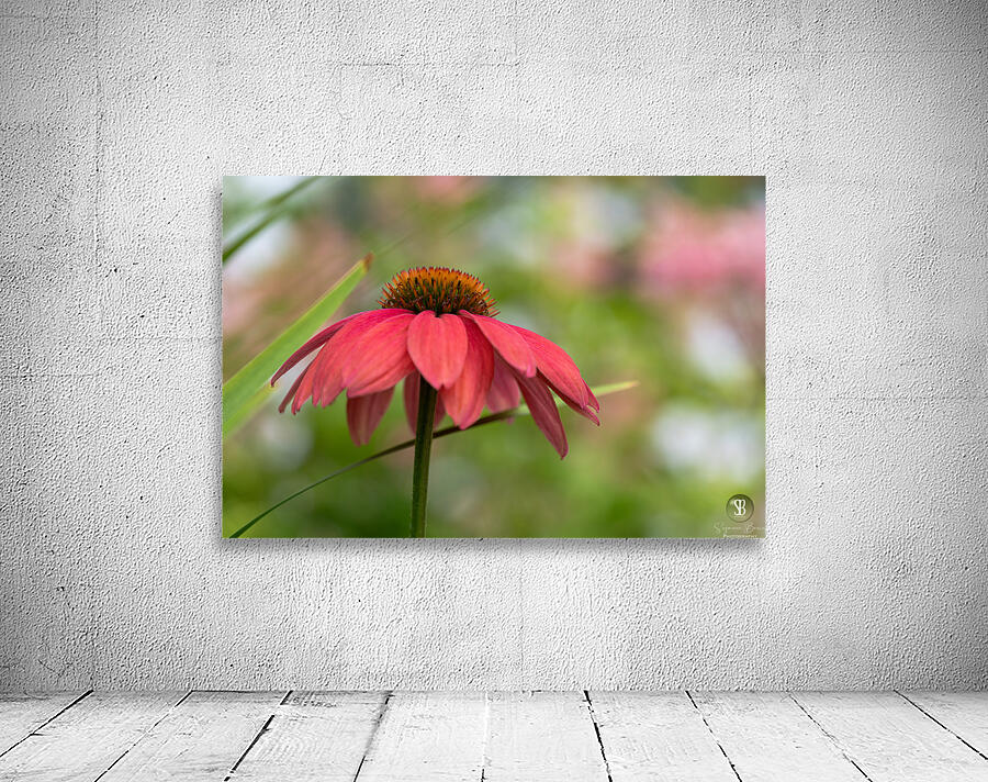 Cool One Wall Preview