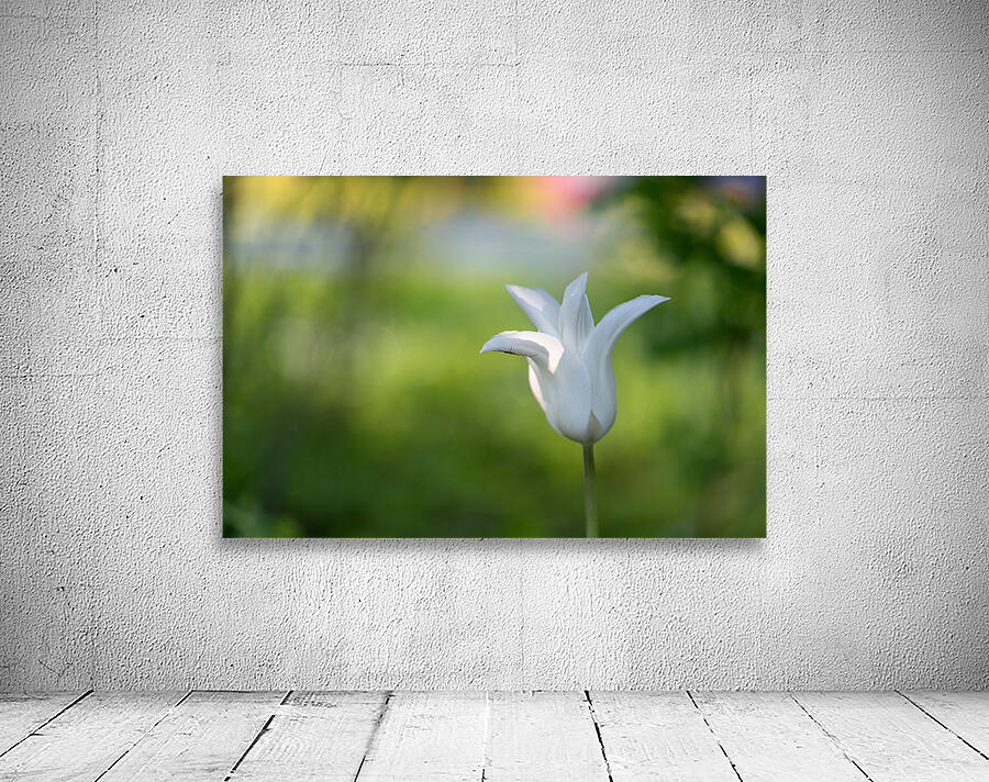 Dear Friend Wall Preview