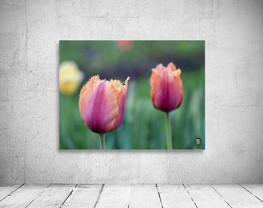 Eyecatching Ones Wall Preview