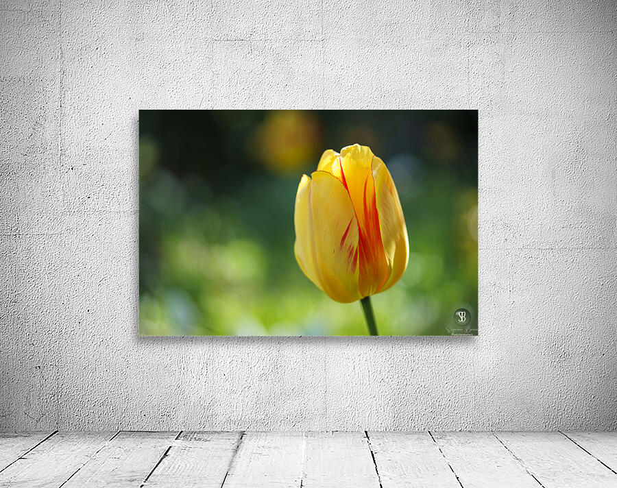 In the Foreground Wall Preview