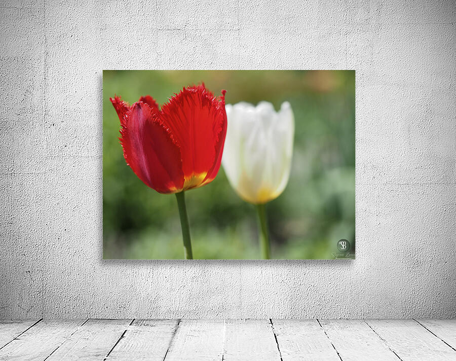 I Choose Red Wall Preview