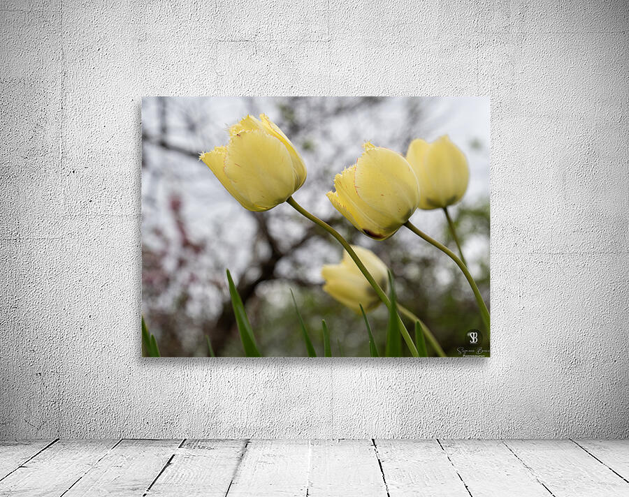 In Good Company Wall Preview