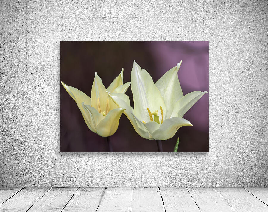 Quite a Pair Wall Preview