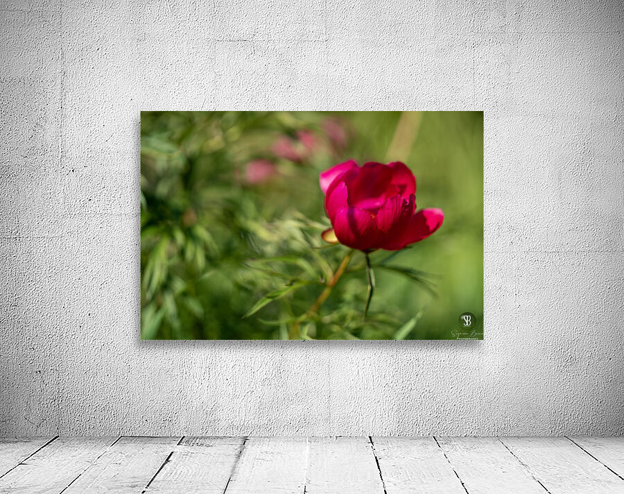 Resilient One Wall Preview