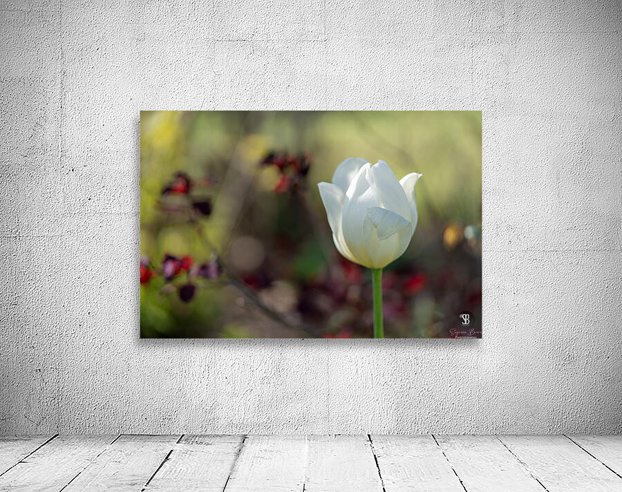 Snow White Wall Preview