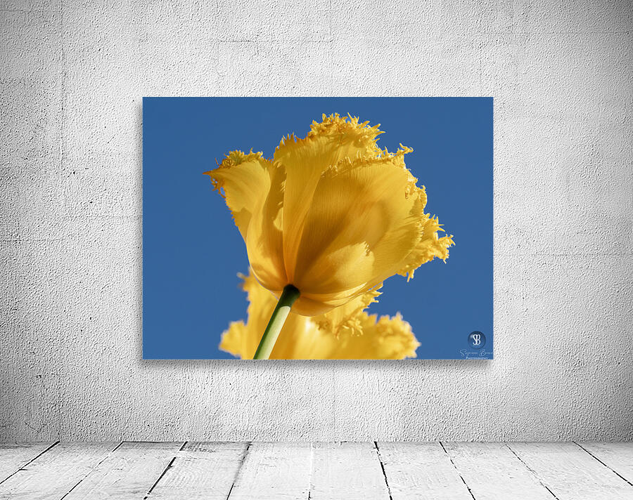 To The Sky Wall Preview