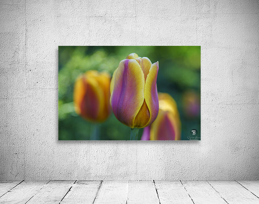 Pastel Colored Lady Wall Preview