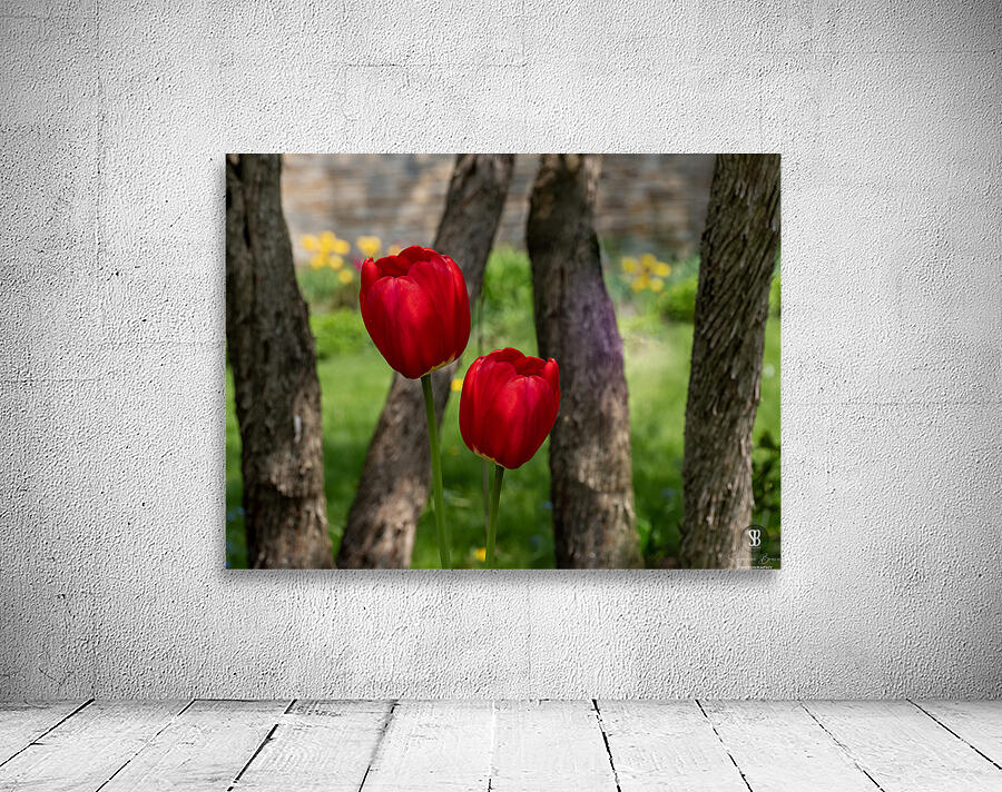 Under the Trees Wall Preview