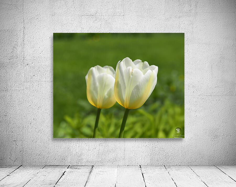 Yellow and White Wall Preview