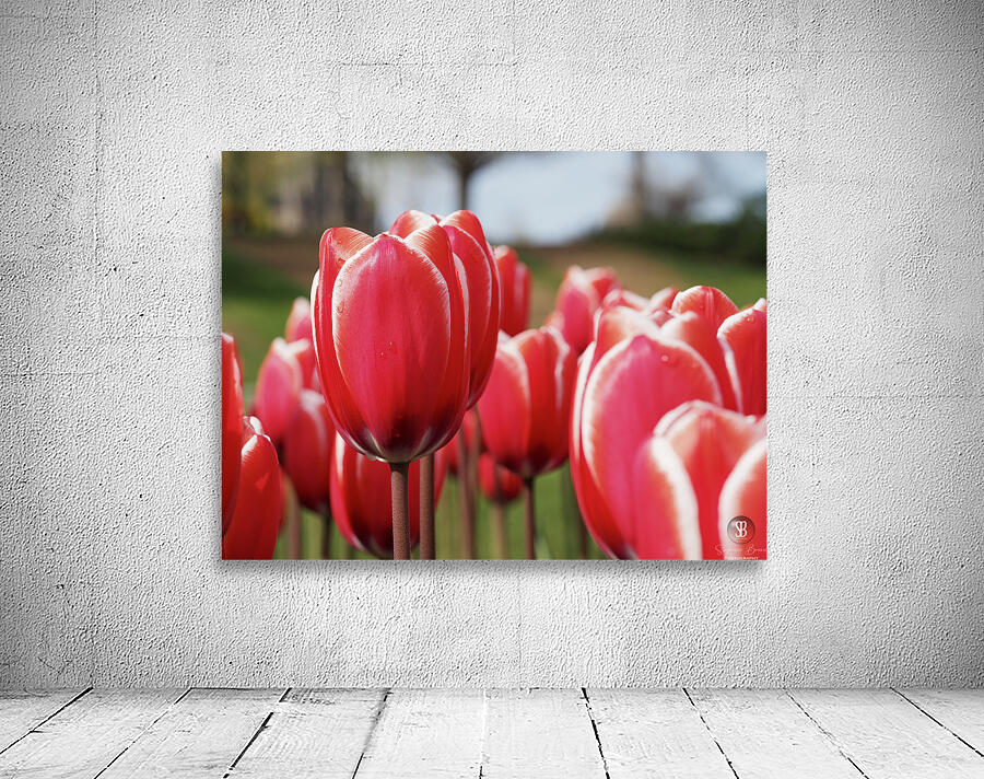 Look at Us Wall Preview