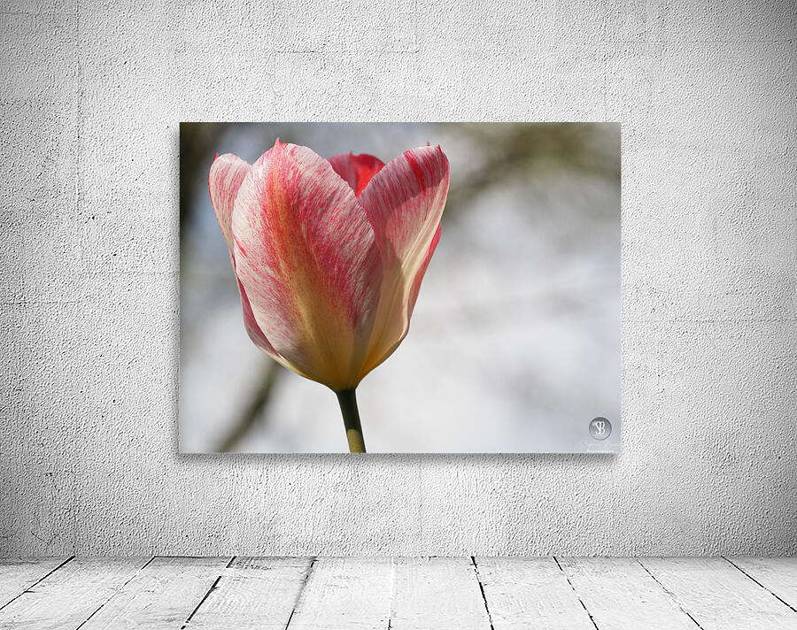 Cheerful Lady Wall Preview