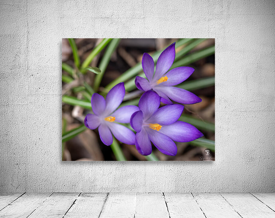 Triplets Wall Preview