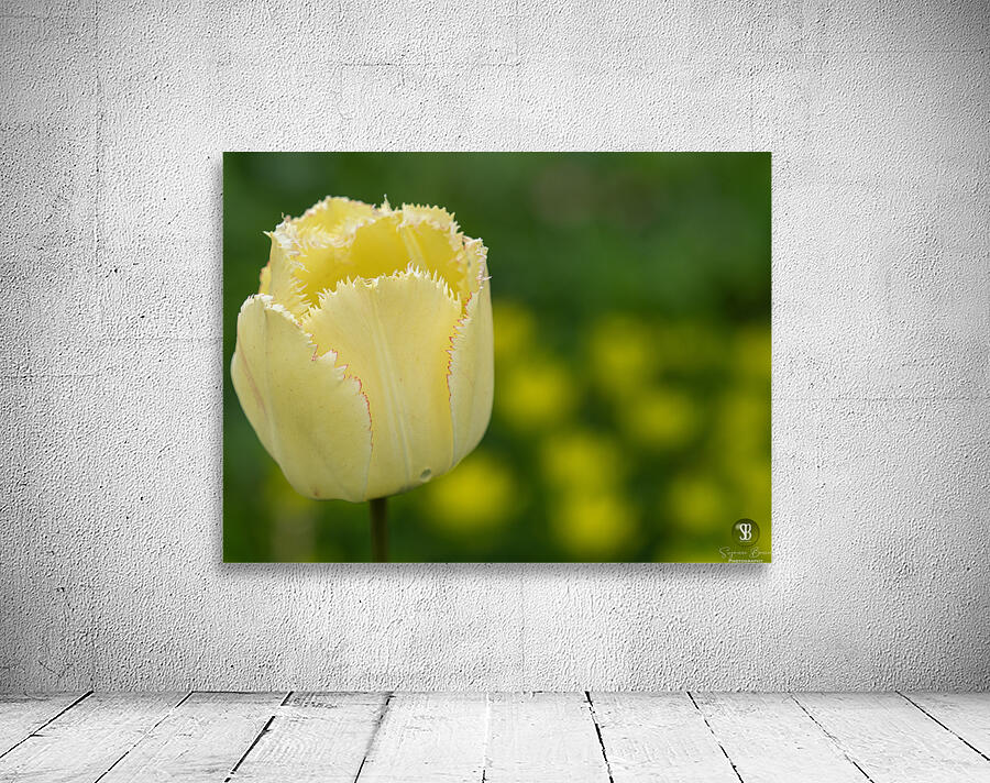 Elegant with Fringes Wall Preview