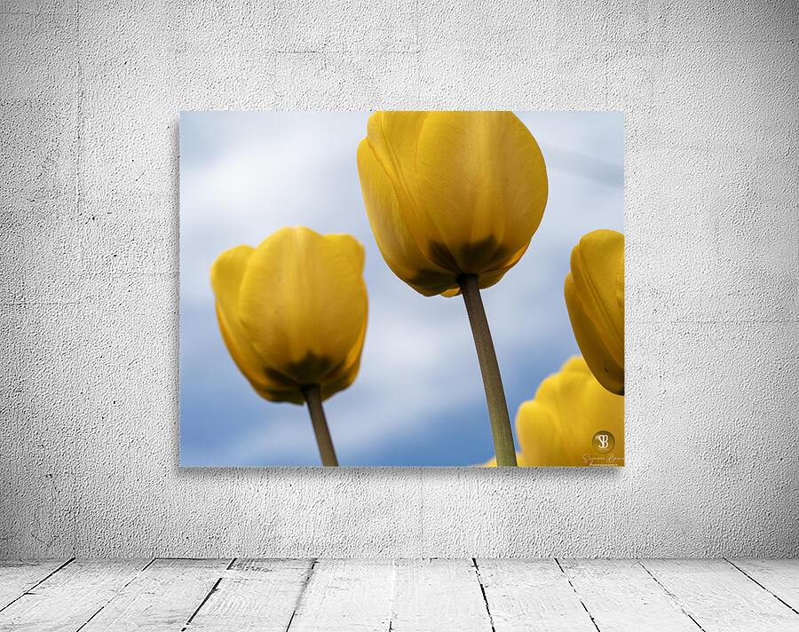 Dearest Friends Wall Preview