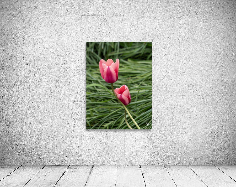 Loving You Wall Preview