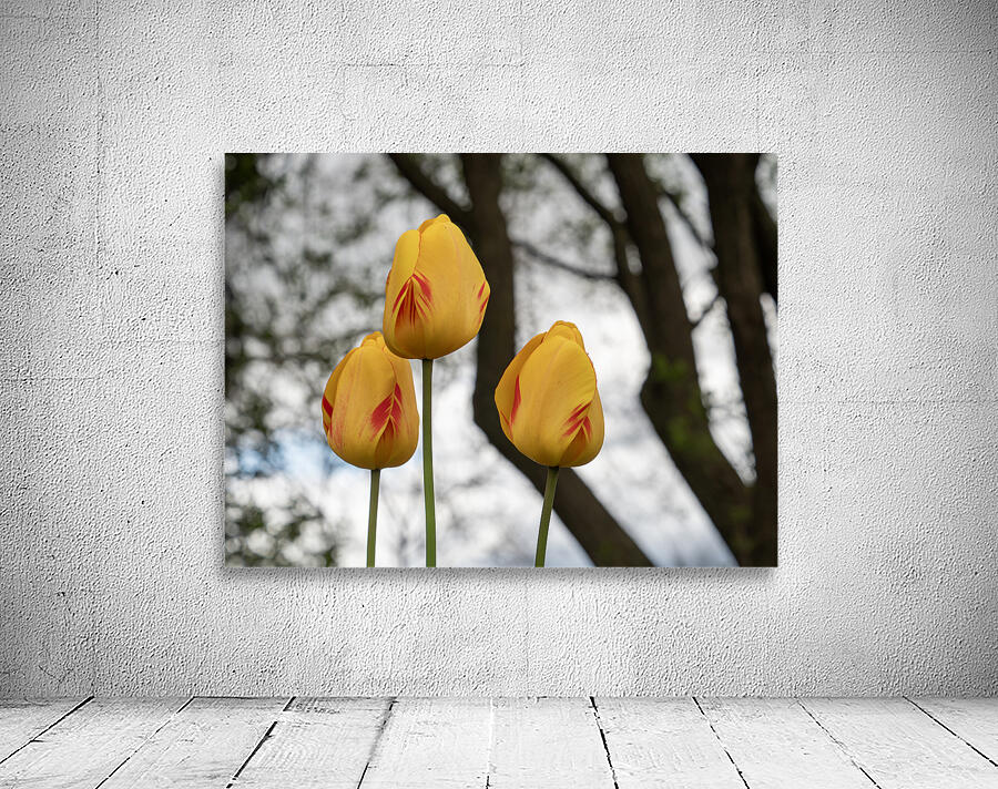 Three Peas in a Pod Wall Preview