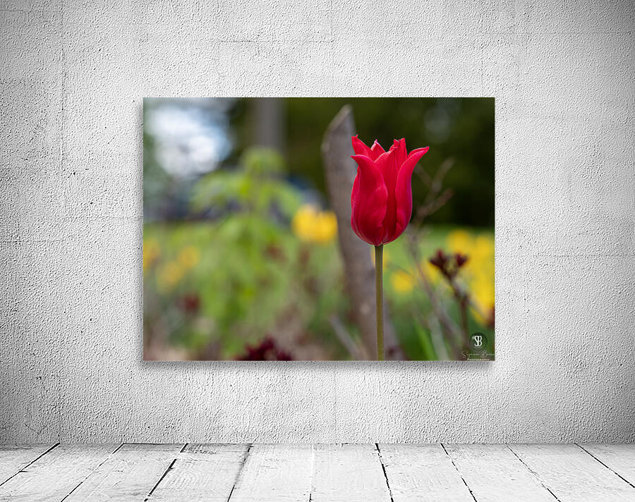 Her Majesty Wall Preview