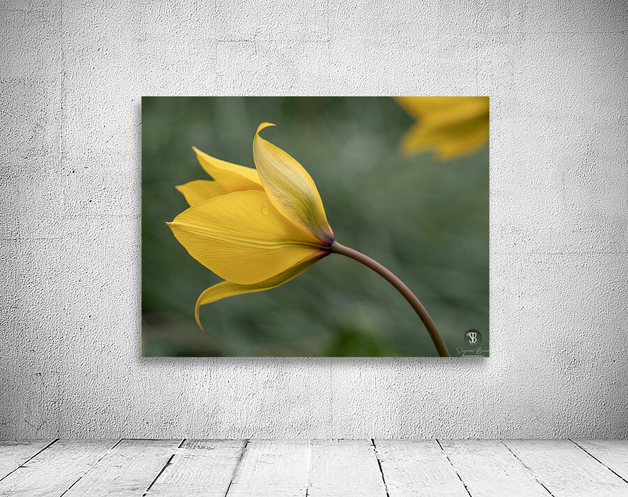 That Way Wall Preview