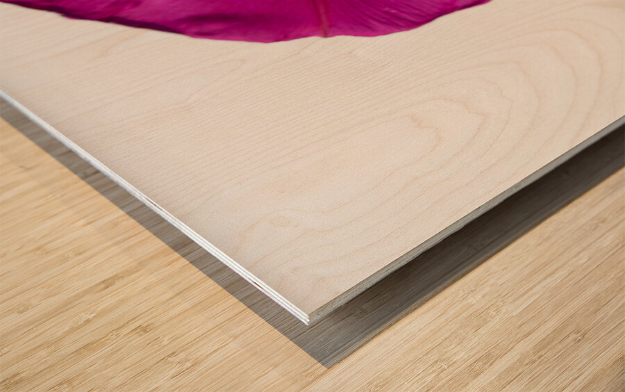 Anticipation Wood print