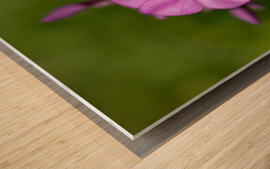 Call me Rosie Wood print