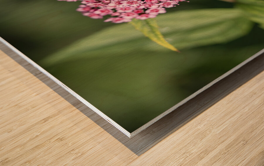 Candlelight Wood print