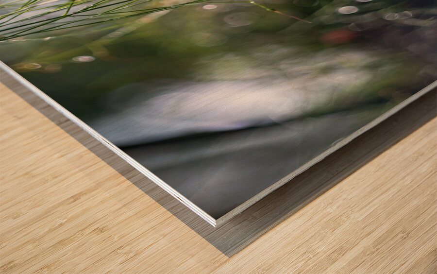 Firecrackers Wood print