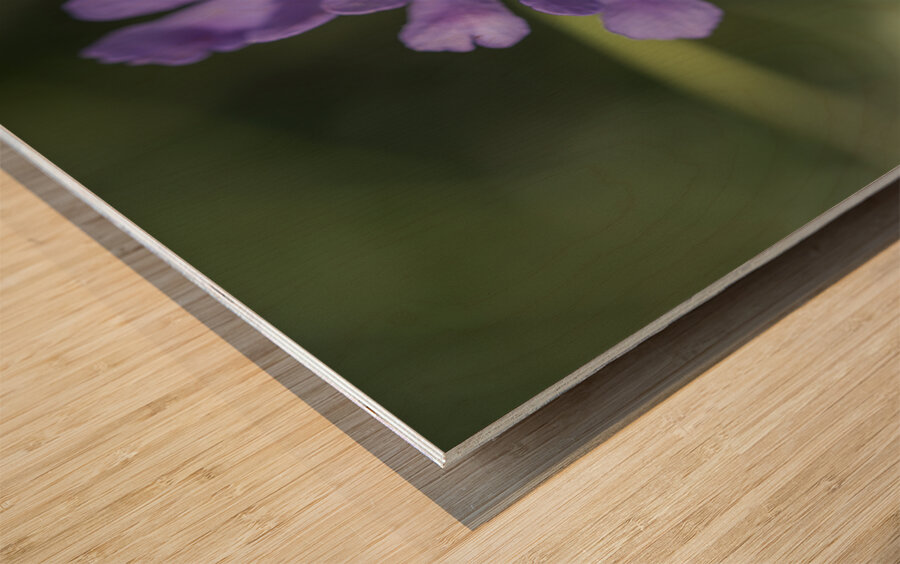 Fluttering Impression sur bois