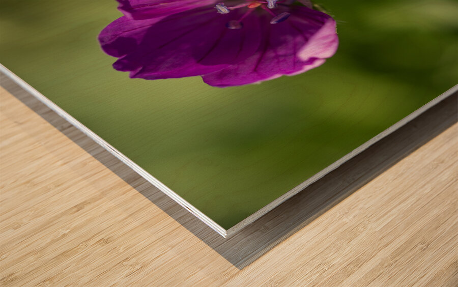 Little Beads Wood print