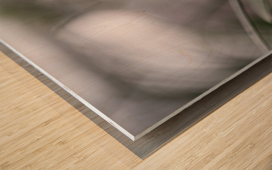 Naked Lady Wood print