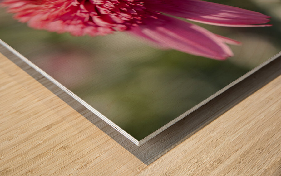 Large Hearted Wood print