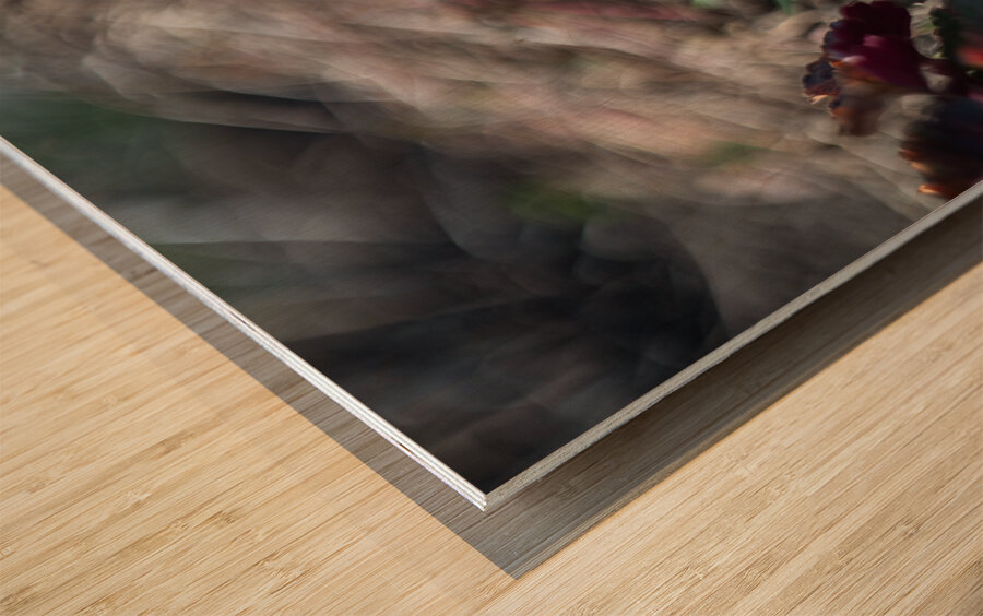 King of the Striped Wood print