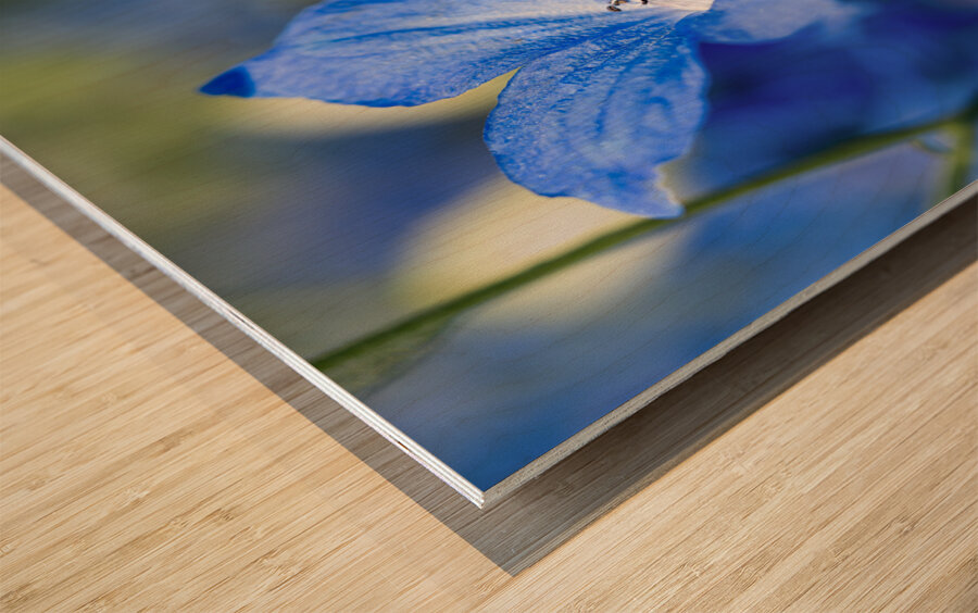 Guardian Lavender Wood print