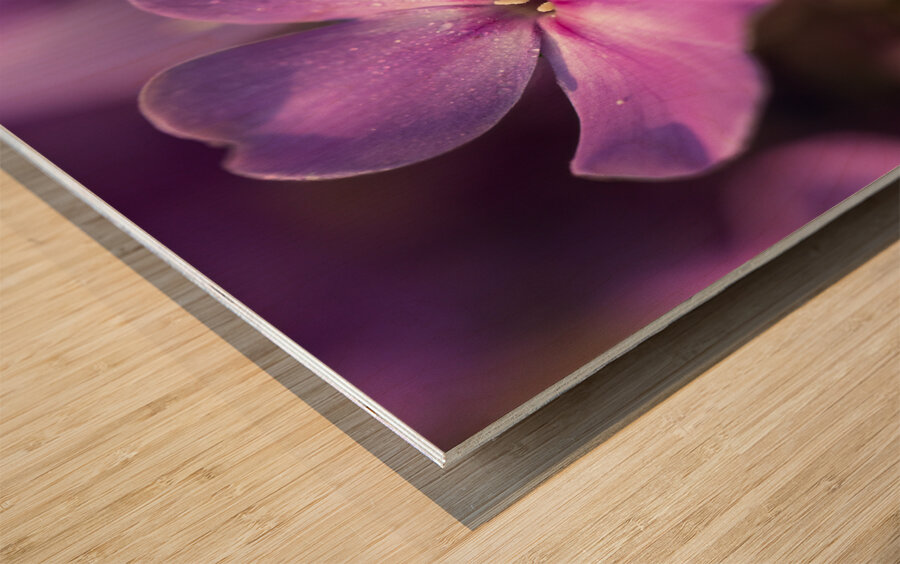 Pink World Wood print