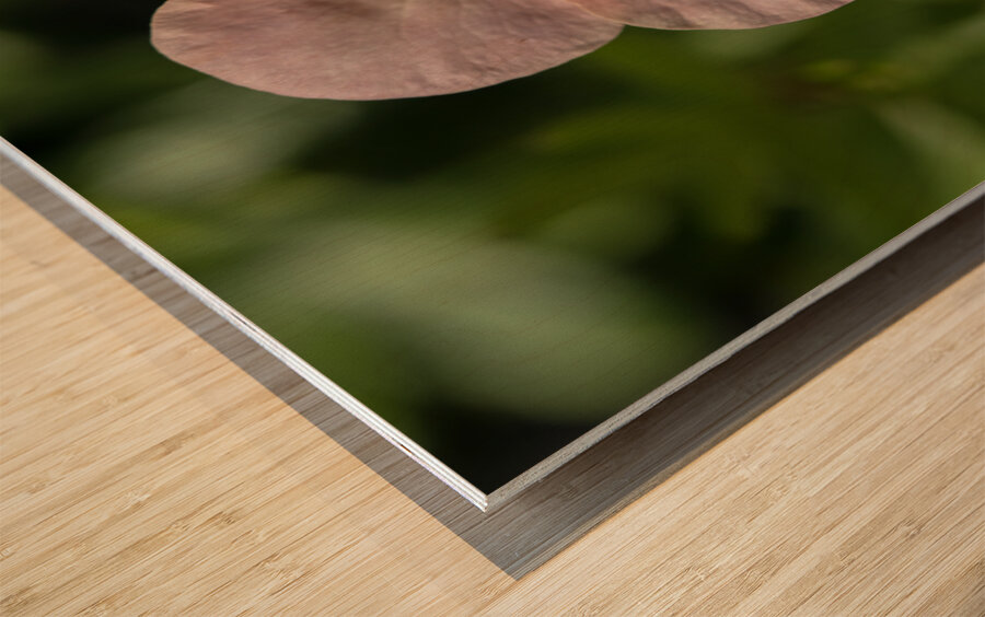 The Wild One Wood print