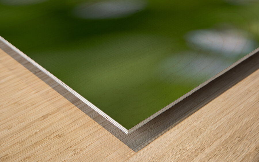 Tiny Bouquet Wood print