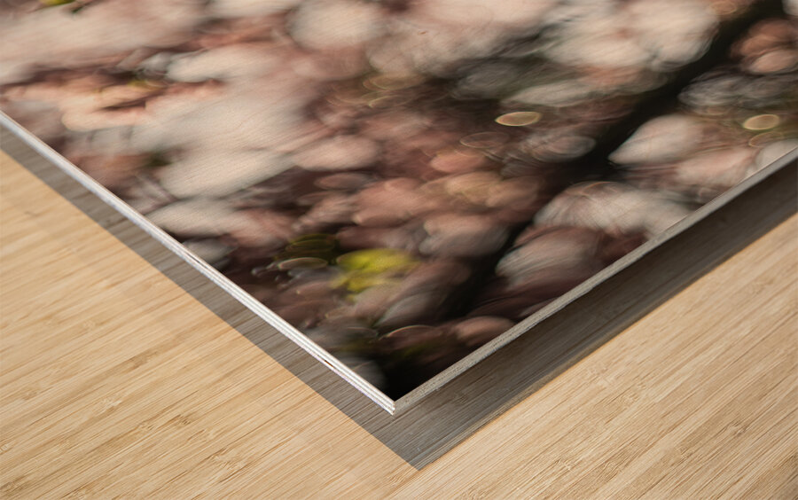 Sunny Serenity Impression sur bois