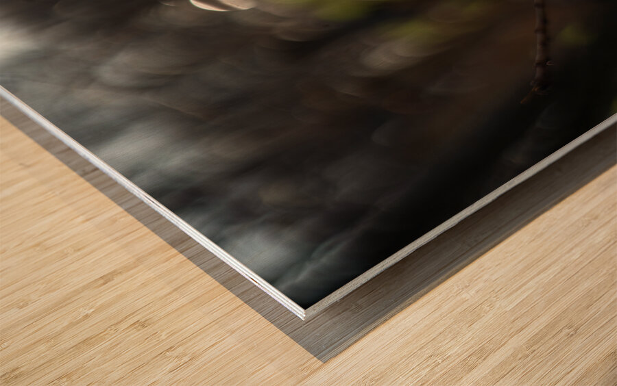 Daffodil Dreamscape Wood print