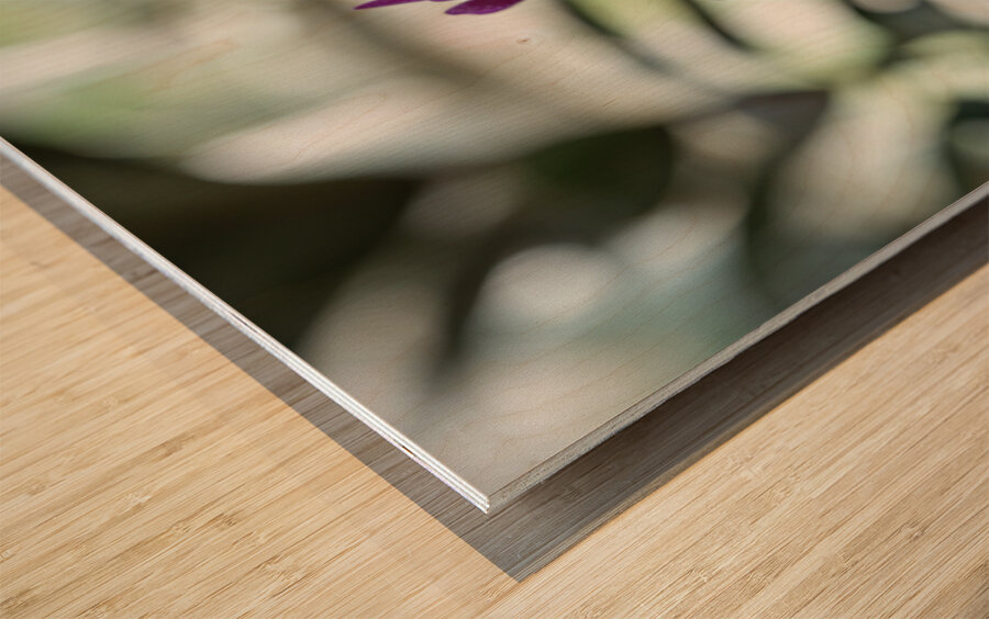 Velvet Violet Wood print