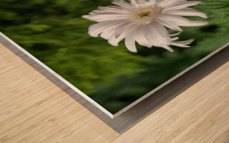 Pearl Petals Wood print