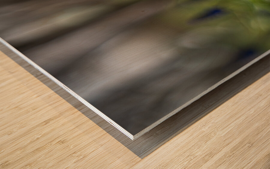 Paradise Perfection Wood print