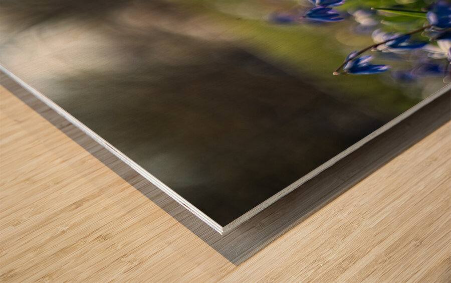 Meadow Melody Wood print