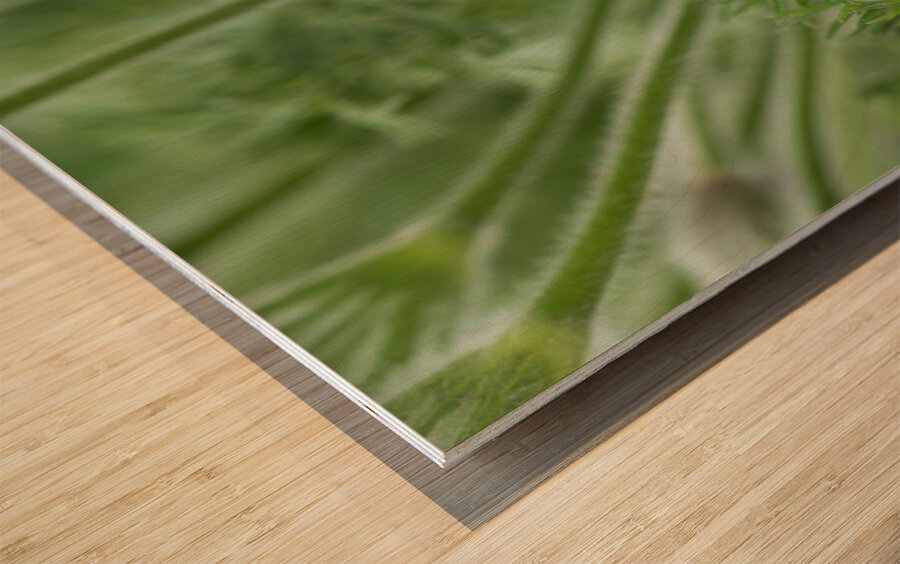 Purple Paradise Wood print