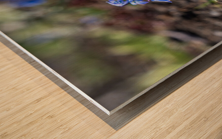 Ethereal Blossoms Wood print