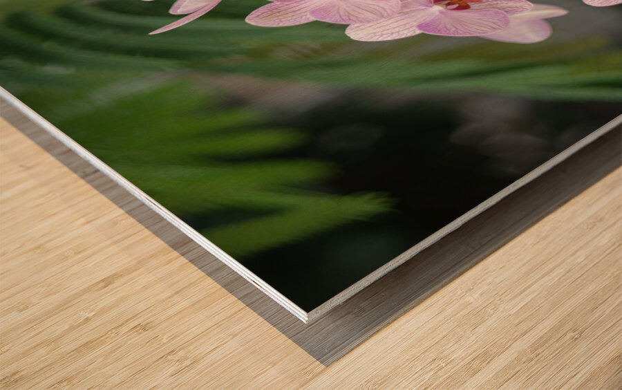 Orchid Reverie Wood print