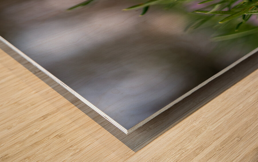 Purple Hues Wood print