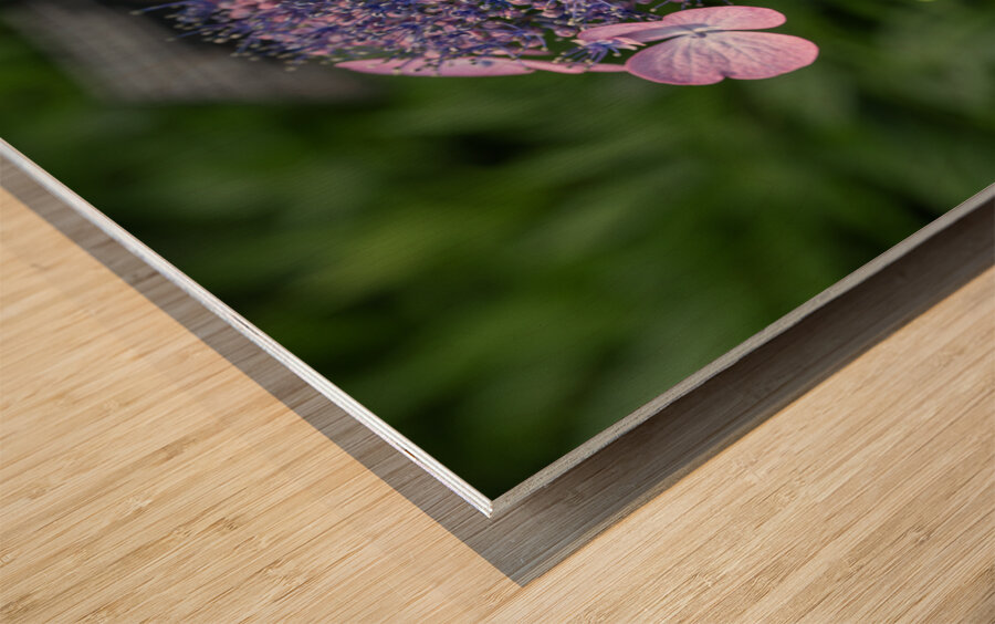 Penny Mac Impression sur bois