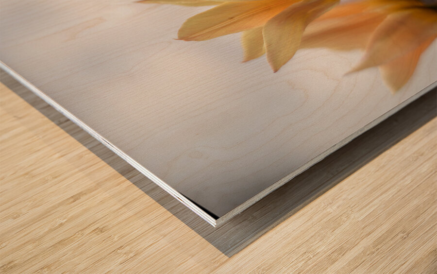 Amber Aurora Wood print